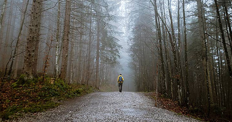 A man with a backpack walking in the mist on a road in the woods