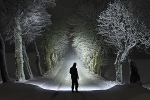 Man standing in a road in the snow at night, shining a very bright flashlight onto some trees