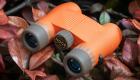 Nocs Provisions Standard Issue 8x25 Review: The Best Compact Binoculars for Your Bug Out Bag